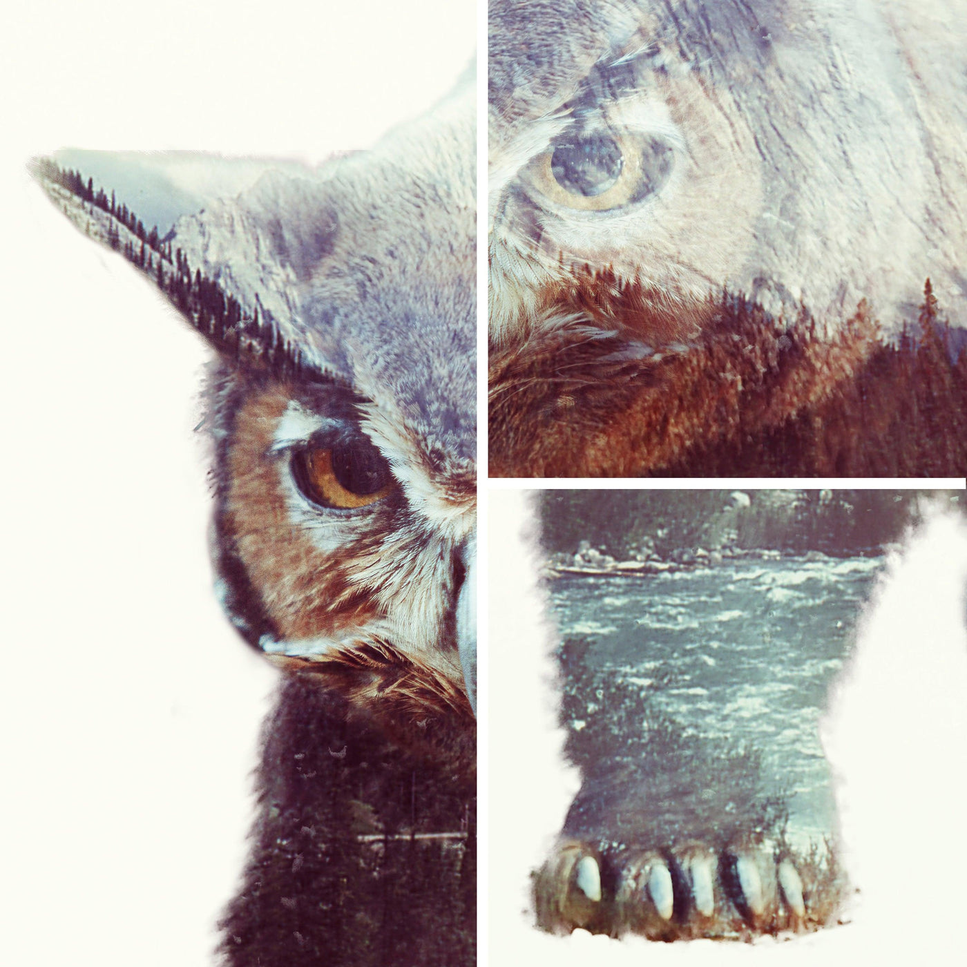 Owlbear Double Exposure D&D Canvas - Gallery 94