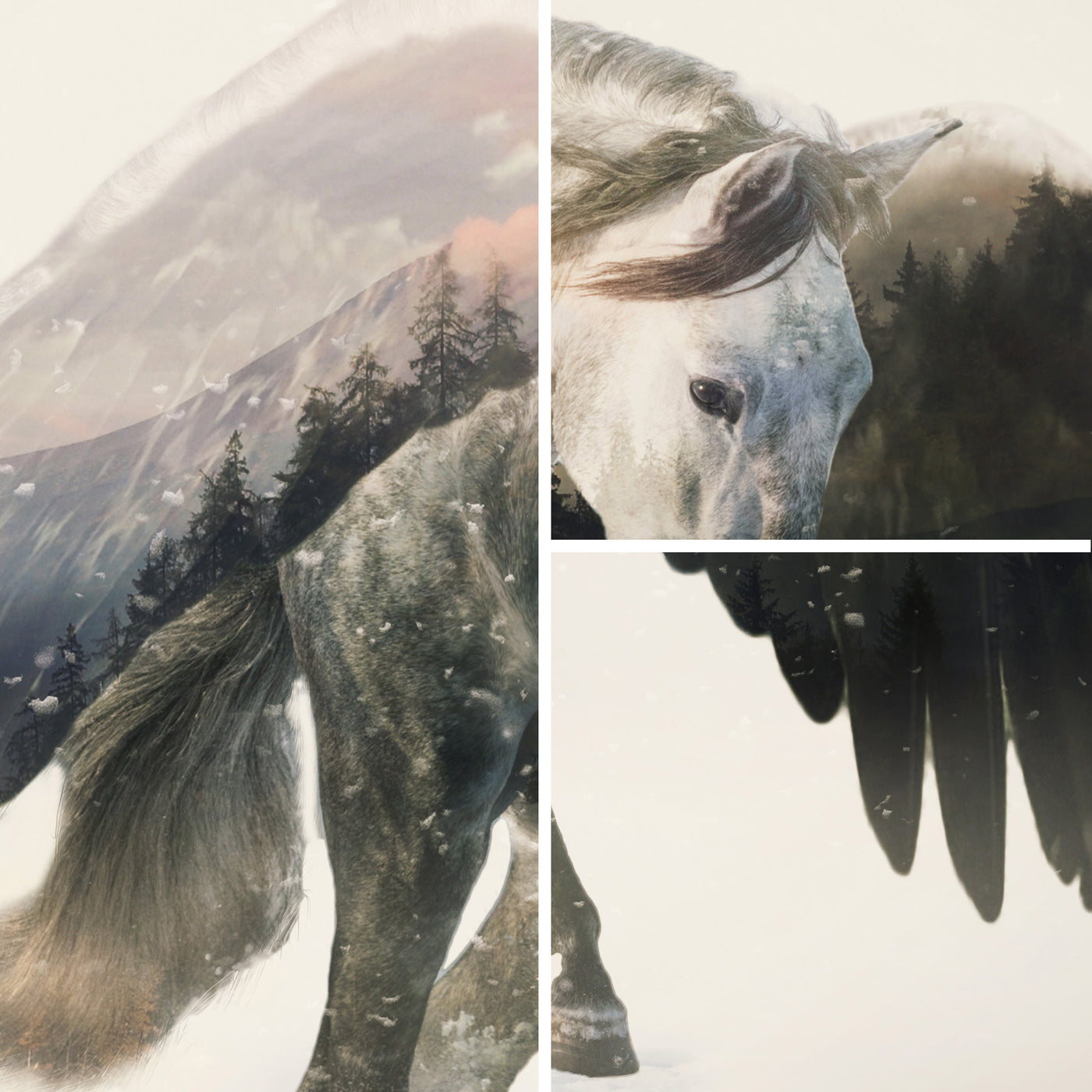 Pegasus D&D Art Print